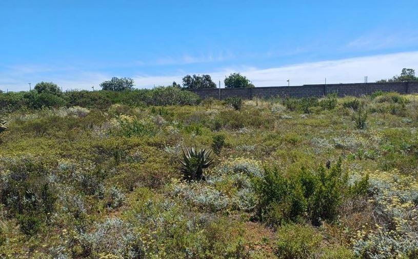 Commercial Property for Sale in N2 Industrial Park Western Cape